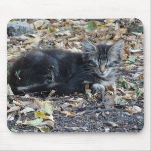 Alfombrilla De Ratón Gato gris