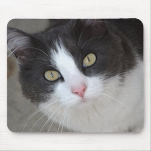 Alfombrilla De Ratón gato gris bonito y blanco