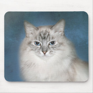 Alfombrilla De Ratón Gato Himalayan del punto azul