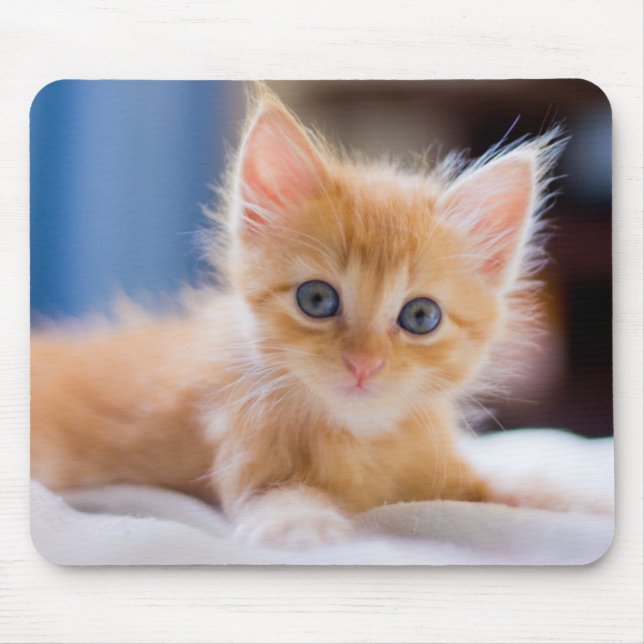 Alfombrilla De Ratón Gato lindo con los ojos azules (Frente)