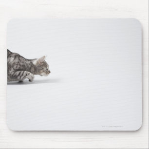 Alfombrilla De Ratón Gato listo para saltar