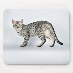 Alfombrilla De Ratón Gato Mau Egipcio Raro