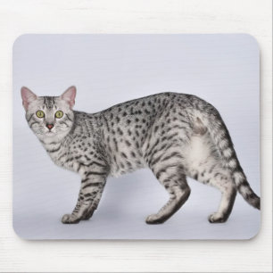 Alfombrilla De Ratón Gato Mau Egipcio Raro