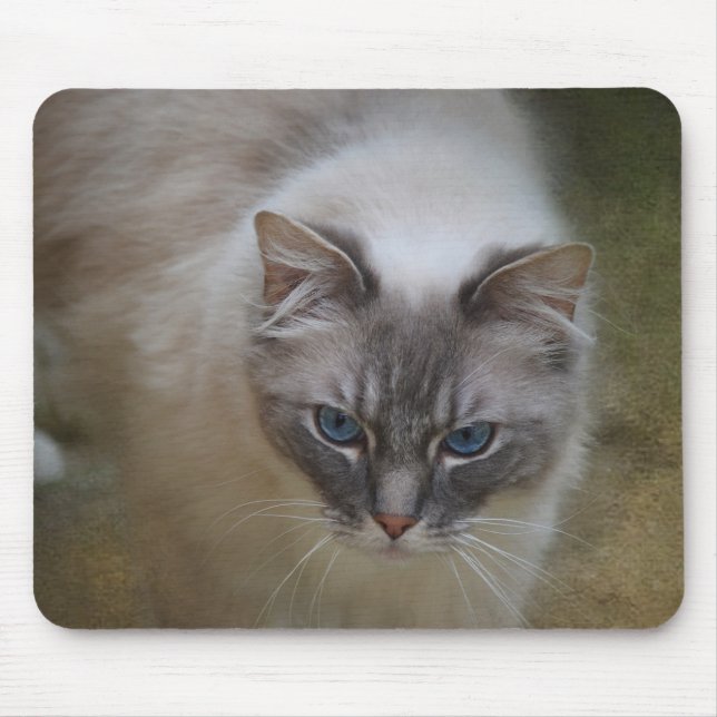 Alfombrilla De Ratón Gato Mousemat de Ragdoll (Frente)