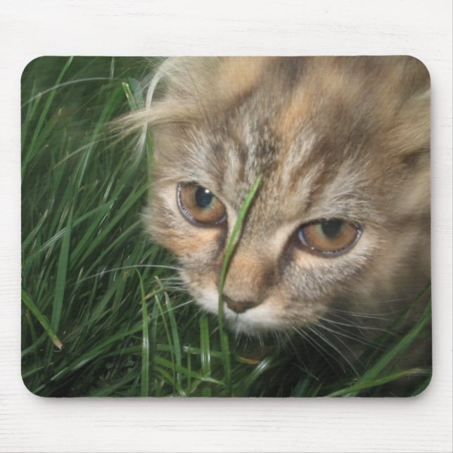 Alfombrilla De Ratón Gato Mousepad (Frente)