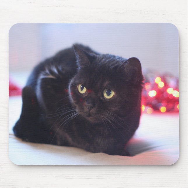 Alfombrilla De Ratón Gato Mousepad (Frente)