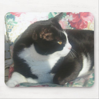 Alfombrilla De Ratón Gato Mousepad