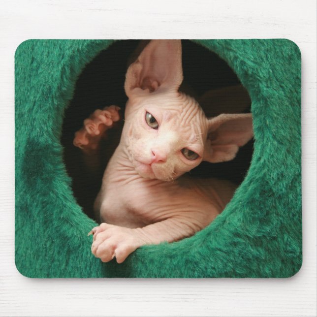 Alfombrilla De Ratón Gato Mousepad el | GoSphynx.com de Sphynx (Frente)