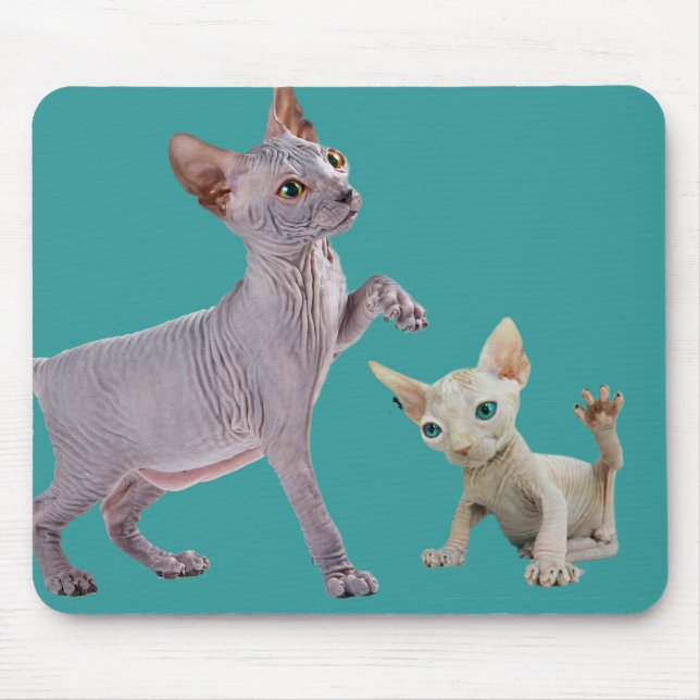 Alfombrilla De Ratón Gato Mousepads de Sphynx (Frente)