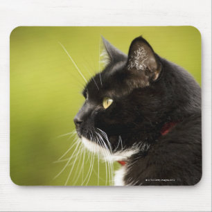 Alfombrilla De Ratón Gato negro