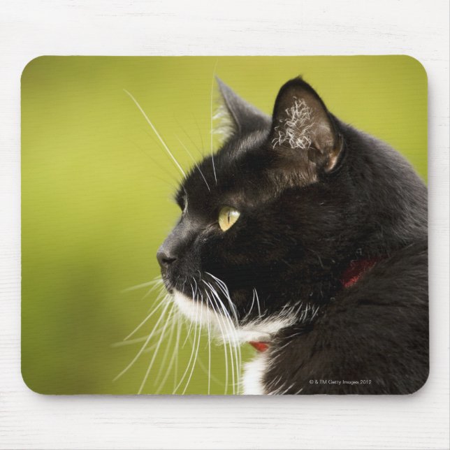 Alfombrilla De Ratón Gato negro (Frente)