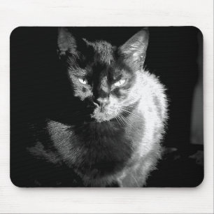 Alfombrilla De Ratón Gato negro brillante