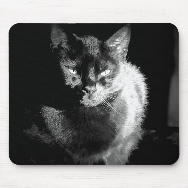 Alfombrilla De Ratón Gato negro brillante (Frente)