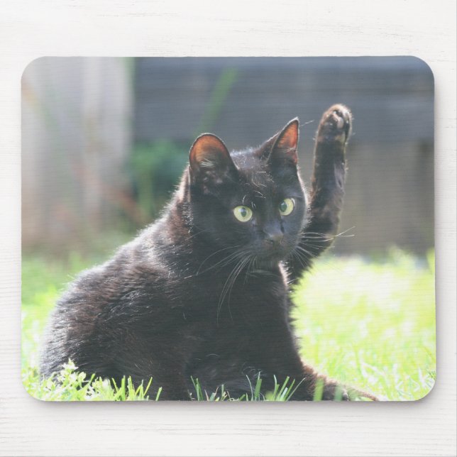 Alfombrilla De Ratón Gato negro del gatito (Frente)