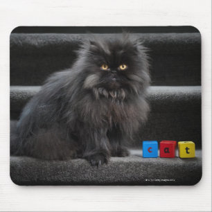 Alfombrilla De Ratón Gato negro sentado en las escaleras por bloques de