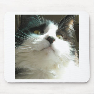 Alfombrilla De Ratón Gato negro y blanco