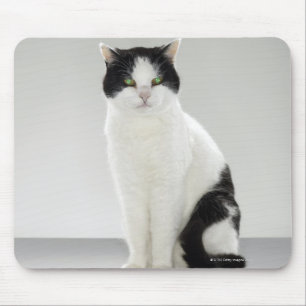 Alfombrilla De Ratón Gato negro y blanco con ojos verdes brillantes