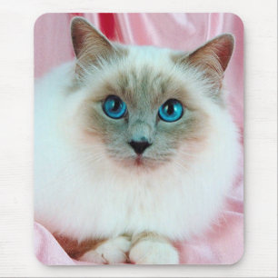 Alfombrilla De Ratón Gato pedigrí lindo