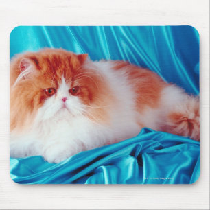 Alfombrilla De Ratón Gato persa