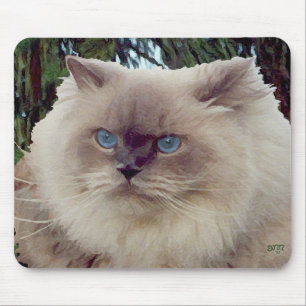 Alfombrilla De Ratón Gato Persa Himalayo