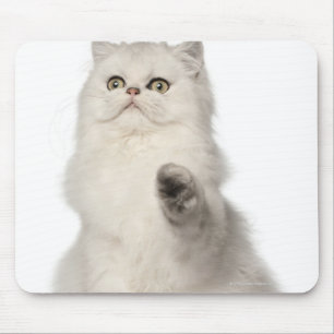 Alfombrilla De Ratón Gato persa sentado