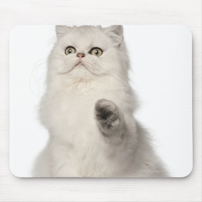 Alfombrilla De Ratón Gato persa sentado (Frente)
