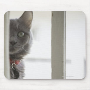 Alfombrilla De Ratón Gato por la ventana