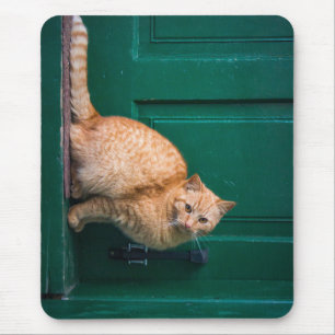 Alfombrilla De Ratón gato, puerta delantera, mascota