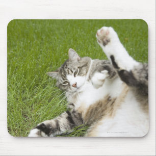 Alfombrilla De Ratón Gato que miente en la hierba, primer