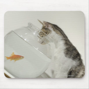 Alfombrilla De Ratón Gato que mira pescados en fishbowl