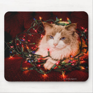 Alfombrilla De Ratón Gato que se sienta en una bola de las luces de