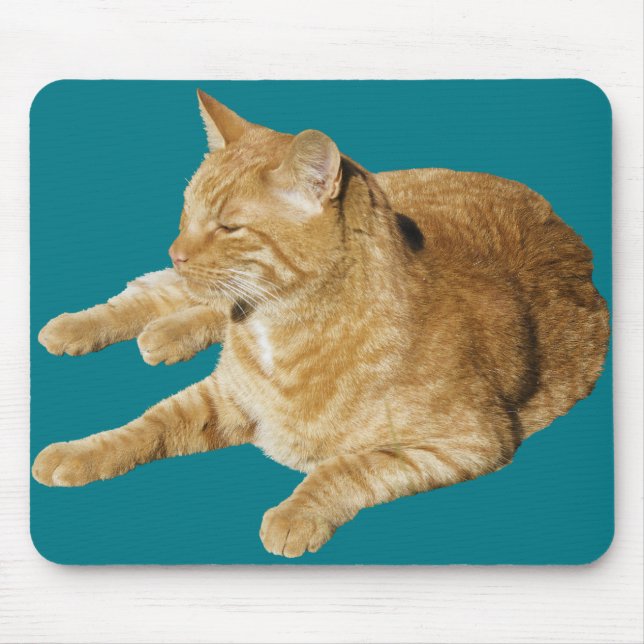 Alfombrilla De Ratón Gato relajado (Frente)