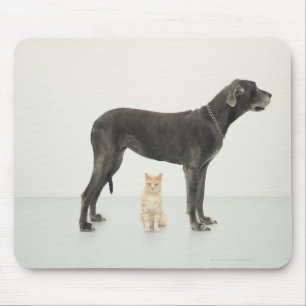 Alfombrilla De Ratón Gato sentado bajo el Gran Danés
