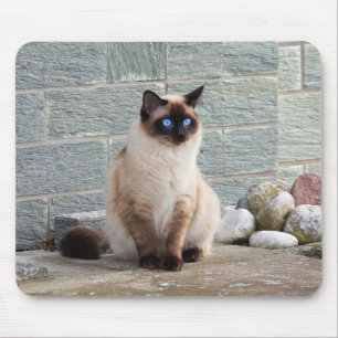 Alfombrilla De Ratón Gato, siamés, animal