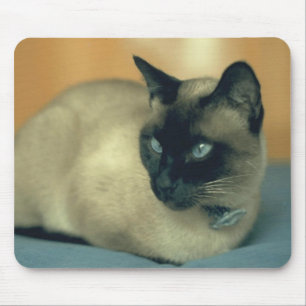 Alfombrilla De Ratón Gato siamés Mousepad
