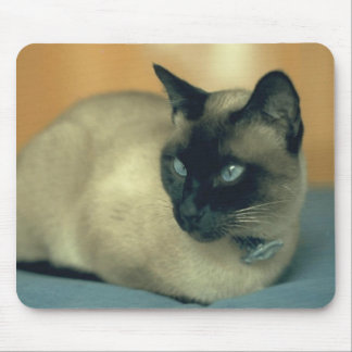 Alfombrilla De Ratón Gato siamés Mousepad