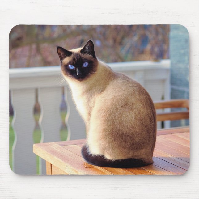 Alfombrilla De Ratón gato, siamés, piel (Frente)