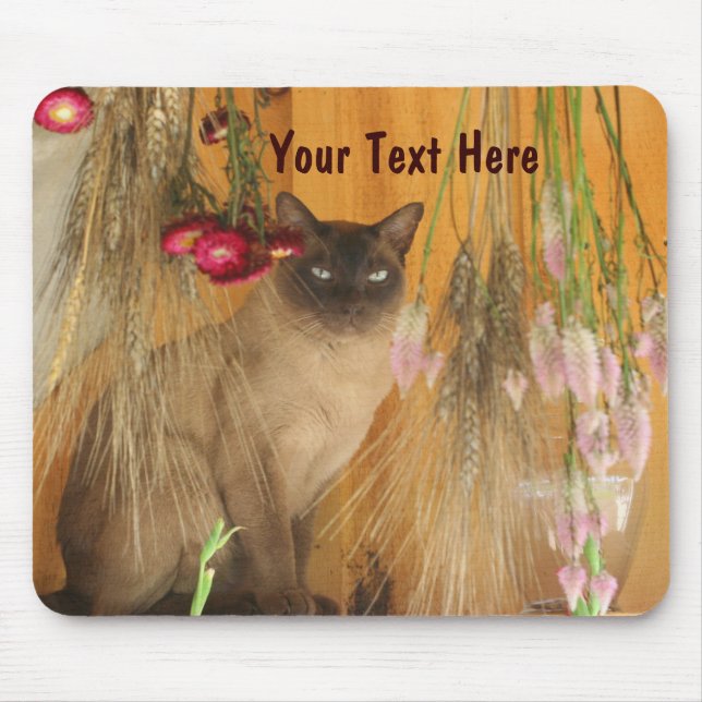 Alfombrilla De Ratón Gato siamés posando fotografía animal Mousepad #3 (Frente)