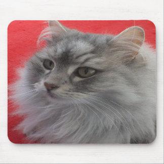 Alfombrilla De Ratón Gato siberiano Mousepad