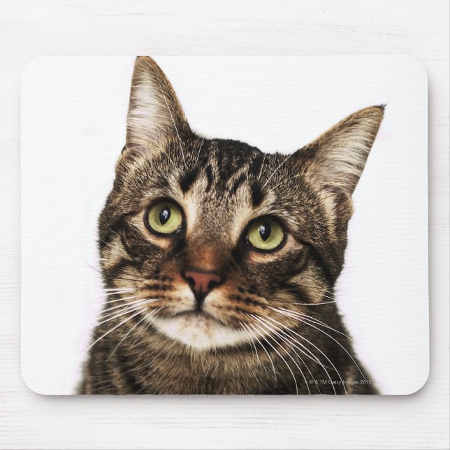Alfombrilla De Ratón Gato sobre fondo blanco 2 (Frente)