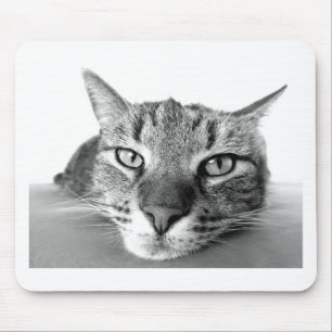 Alfombrilla De Ratón Gato somnoliento