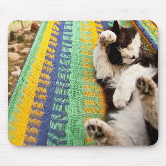 Alfombrilla De Ratón Gato tendido en hamaca maya mexicana (Frente)