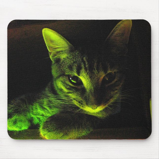 Alfombrilla De Ratón Gato verde Mousepad (Frente)