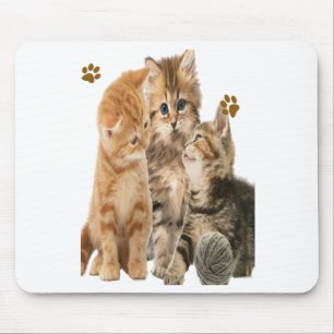 Alfombrilla De Ratón Gatos