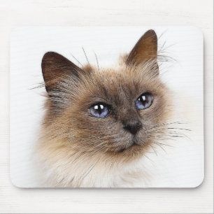 ALFOMBRILLA DE RATÓN GATOS