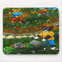 Gatos de jardinería de verano