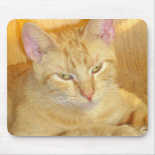 Alfombrilla De Ratón Gatos de vaca 15 Mousepad