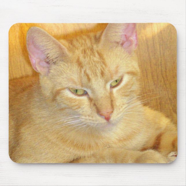 Alfombrilla De Ratón Gatos de vaca 15 Mousepad (Frente)