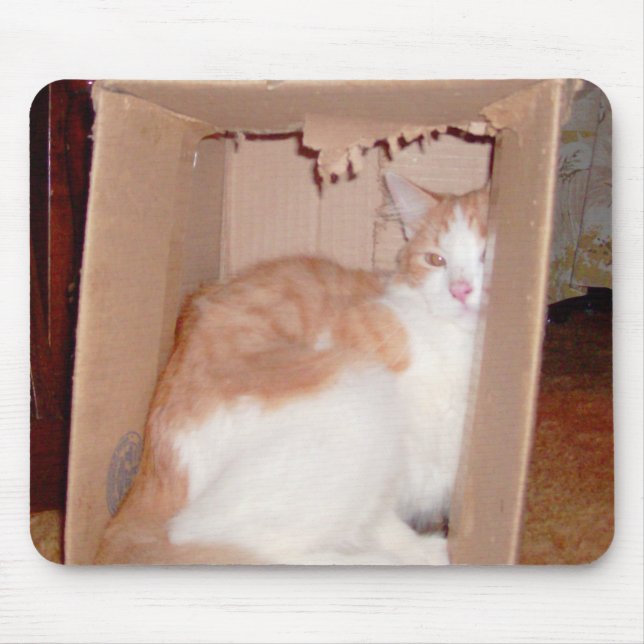 Alfombrilla De Ratón Gatos de vaca 31 Mousepad (Frente)