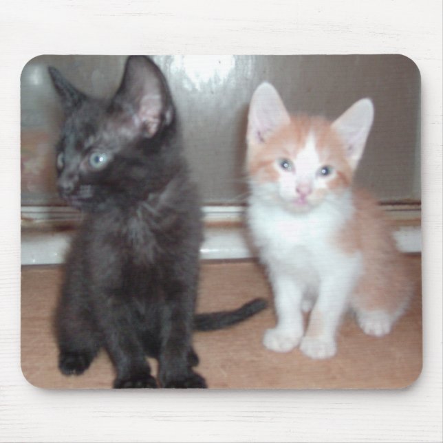 Alfombrilla De Ratón Gatos de vaca 32 Mousepad (Frente)